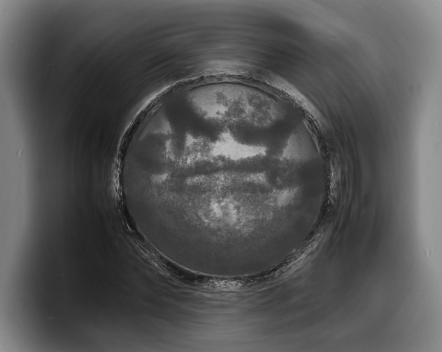 X0000100310878200806051454