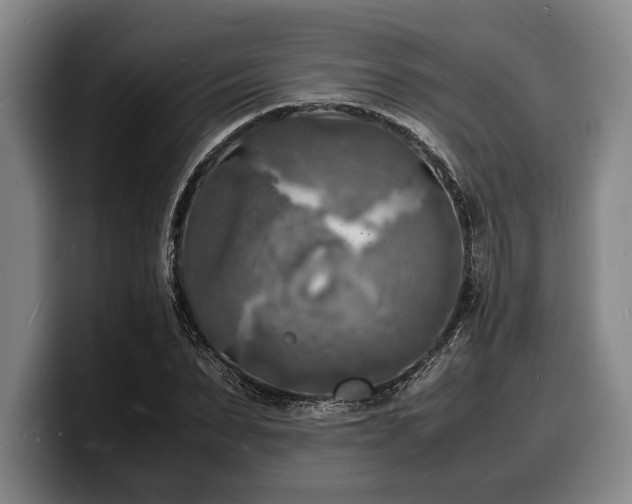 X0000100310879200806051454