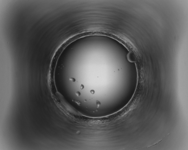 X0000100310880200806051454