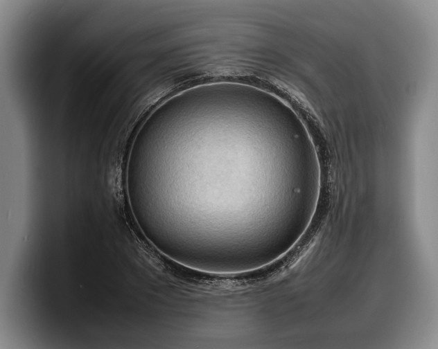 X0000100310881200806051453