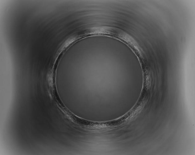 X0000100310882200806051453