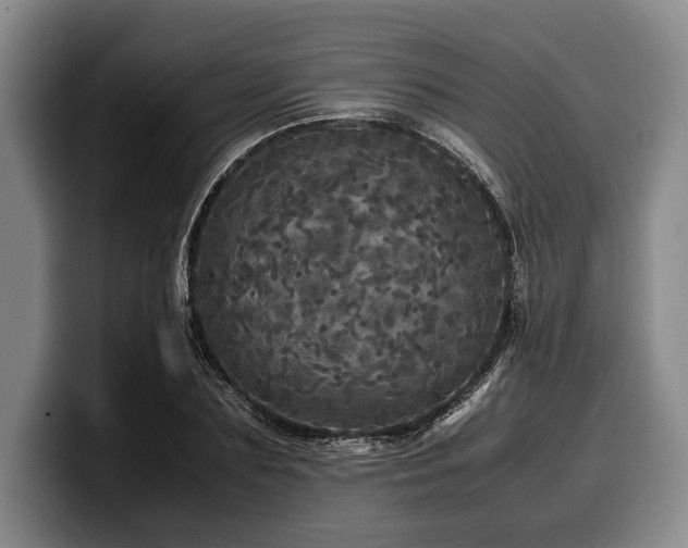 X0000100310883200806051453