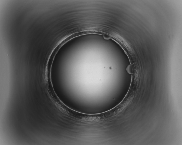 X0000100310884200806051453