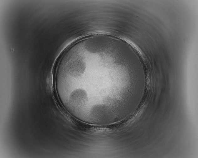 X0000100310886200806051453