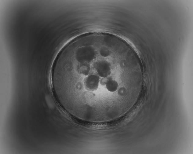X0000100310887200806051453