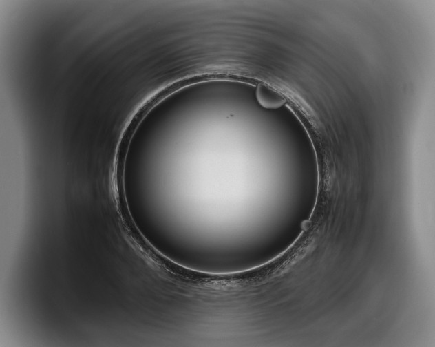 X0000100310888200806051453