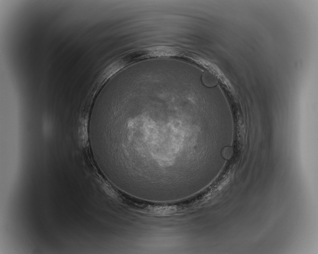 X0000100310889200806051453
