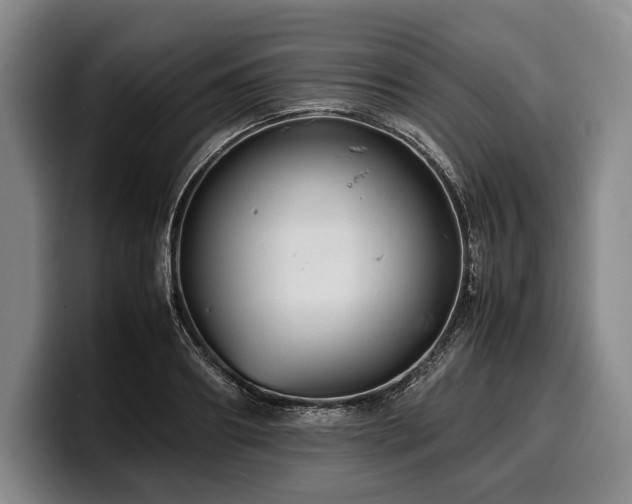 X0000100310890200806051453