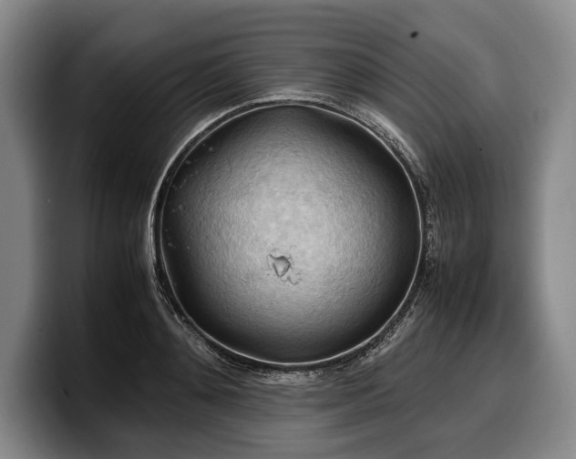 X0000100310892200806051453