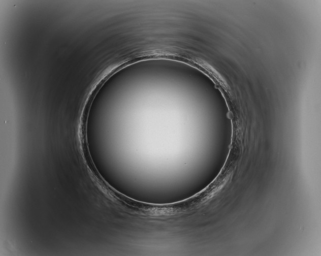 X0000100310893200806051453