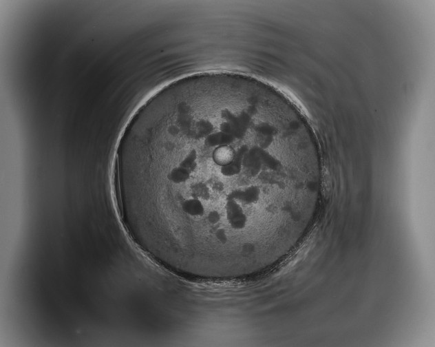 X0000100310895200806051453