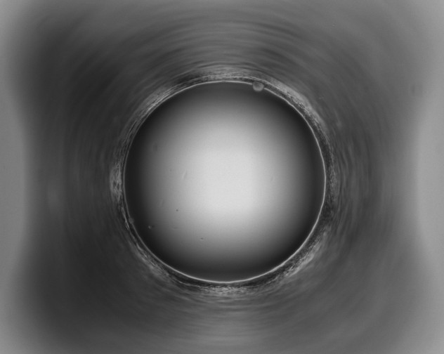 X0000100310897200806051453