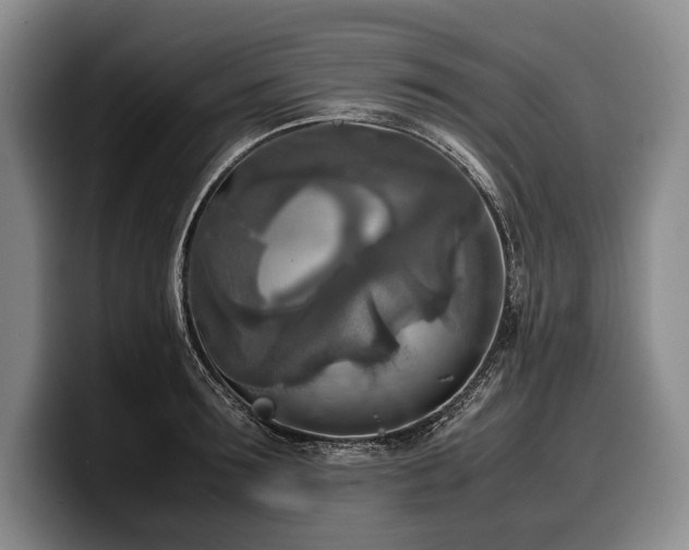 X0000100310899200806051453