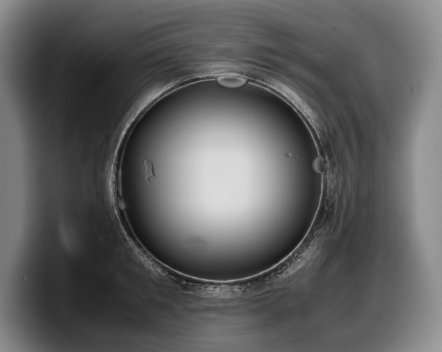 X0000100310901200806051453