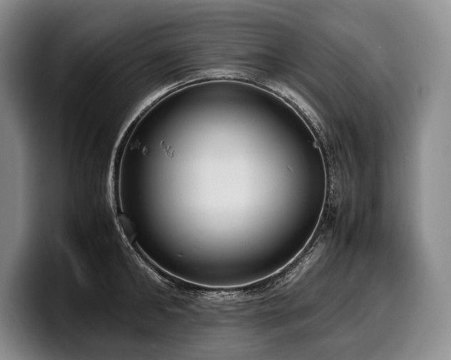 X0000100310902200806051453