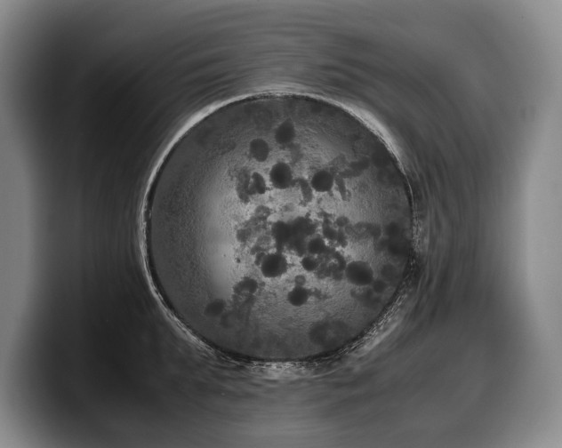 X0000100310903200806051453