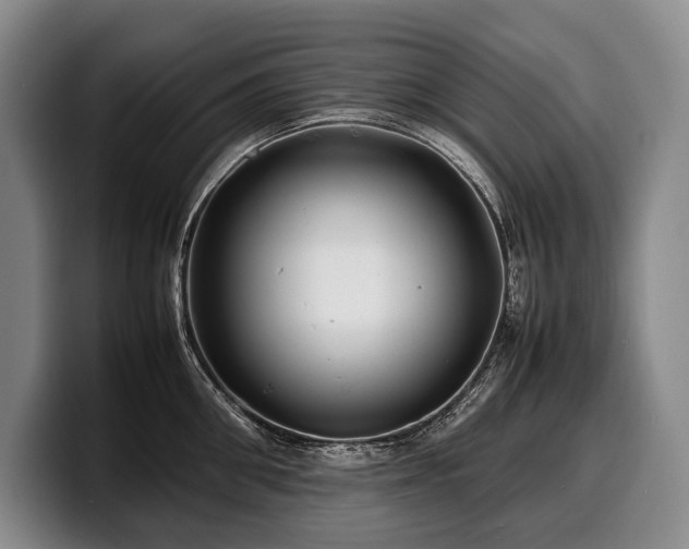 X0000100310906200806051453