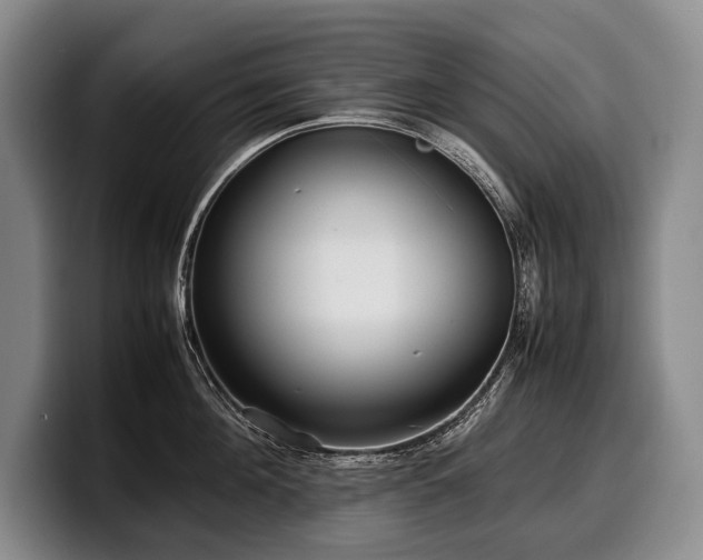 X0000100310908200806051453