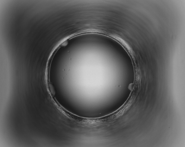 X0000100310910200806051453