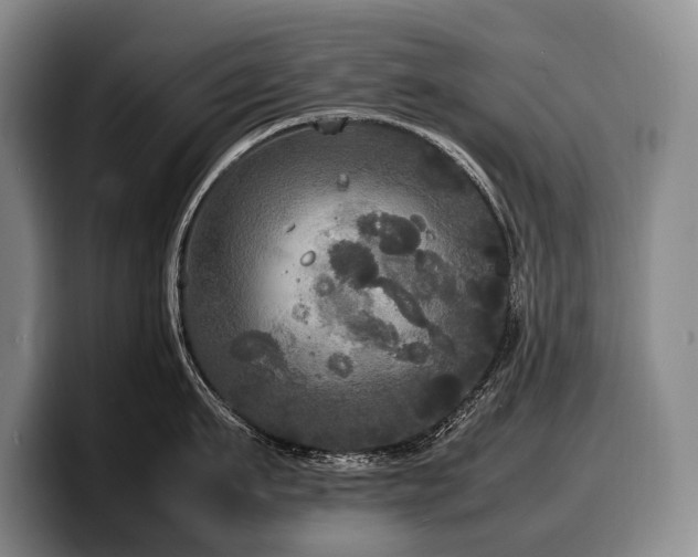 X0000100310911200806051453
