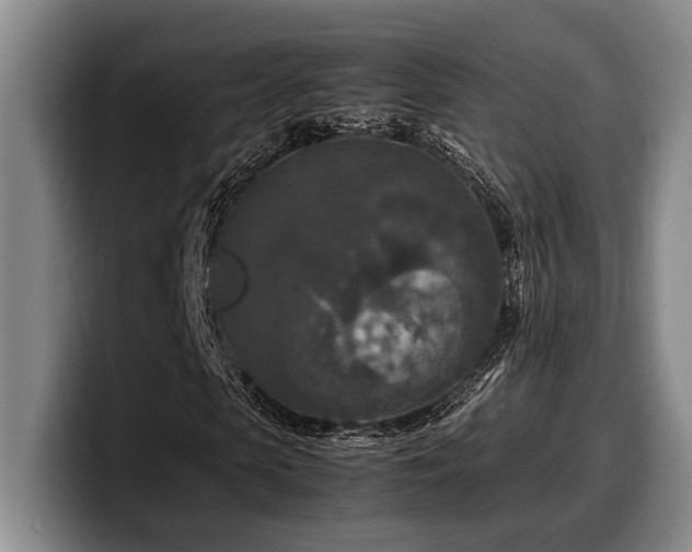 X0000100310913200806051452