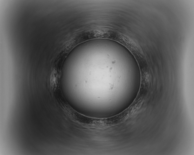 X0000100310914200806051452