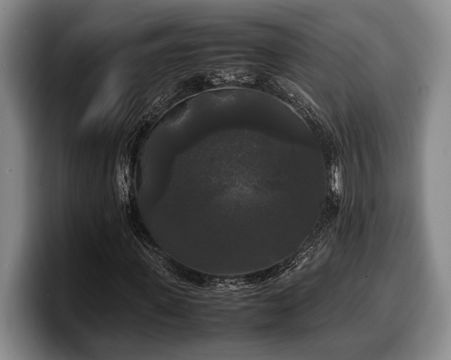 X0000100310915200806051452