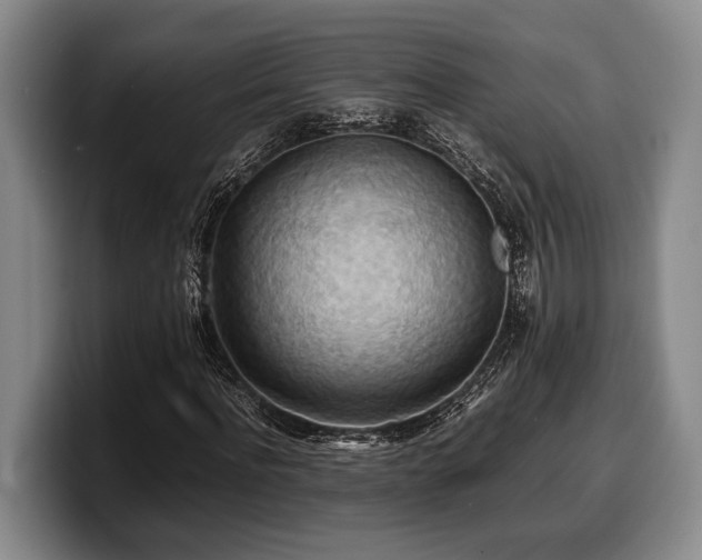 X0000100310916200806051452