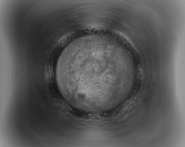 X0000100310918200806051452