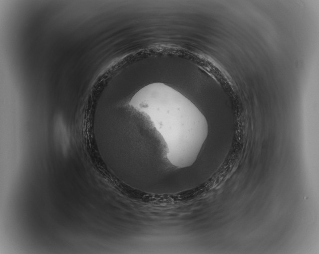 X0000100310919200806051453