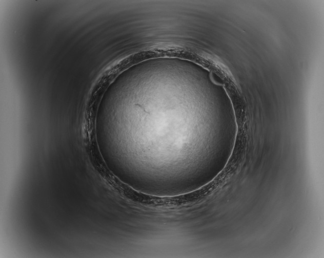 X0000100310920200806051453