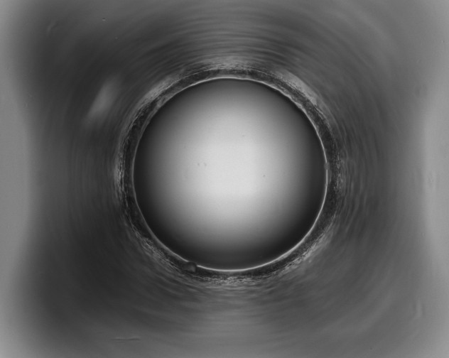 X0000100310922200806051453