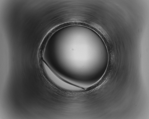 X0000100310926200806051453