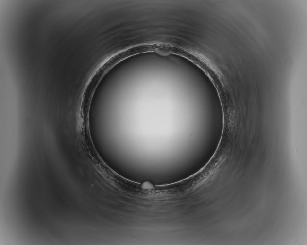 X0000100310927200806051453