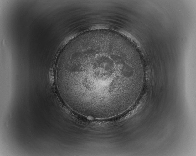 X0000100310929200806051453