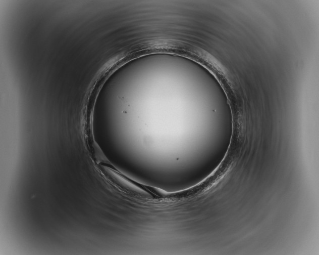 X0000100310930200806051453