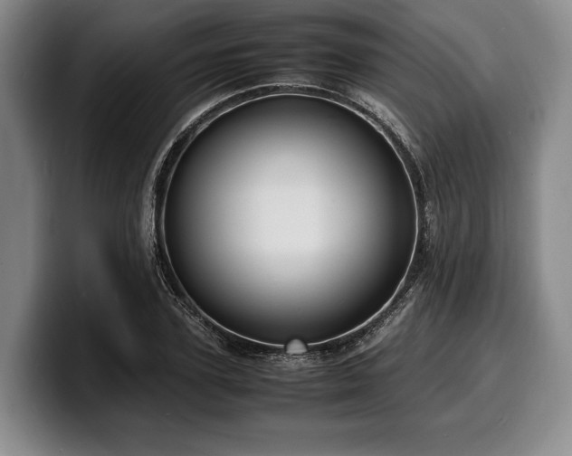 X0000100310931200806051453