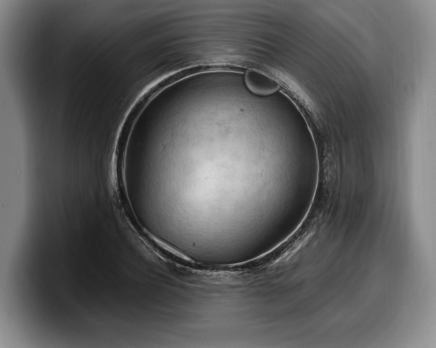 X0000100310932200806051453