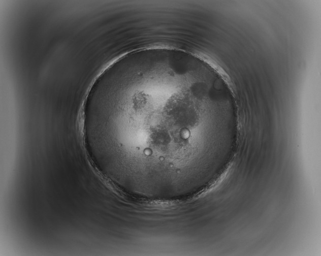 X0000100310933200806051453