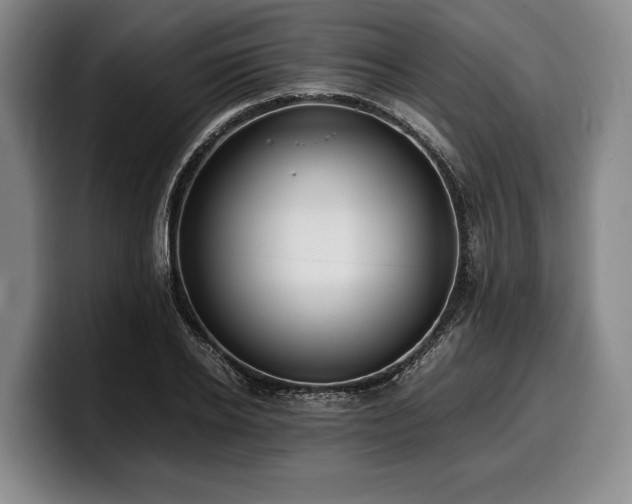 X0000100310934200806051453
