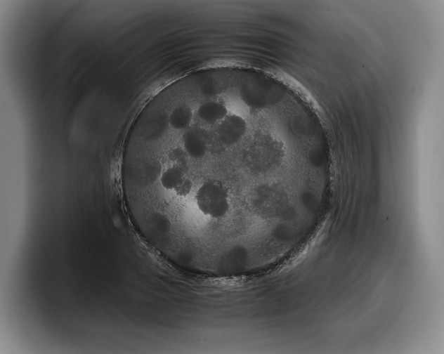 X0000100310937200806051453