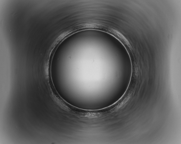 X0000100310938200806051453