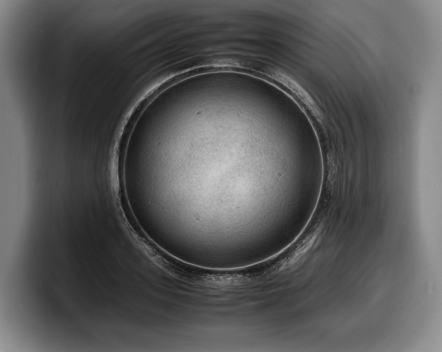 X0000100310939200806051453