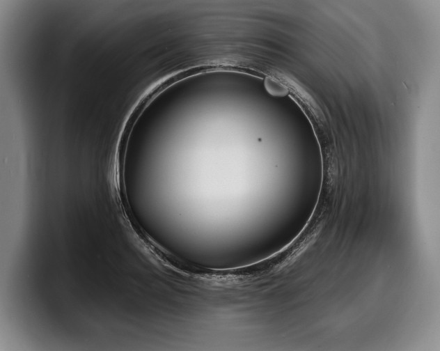 X0000100310940200806051453