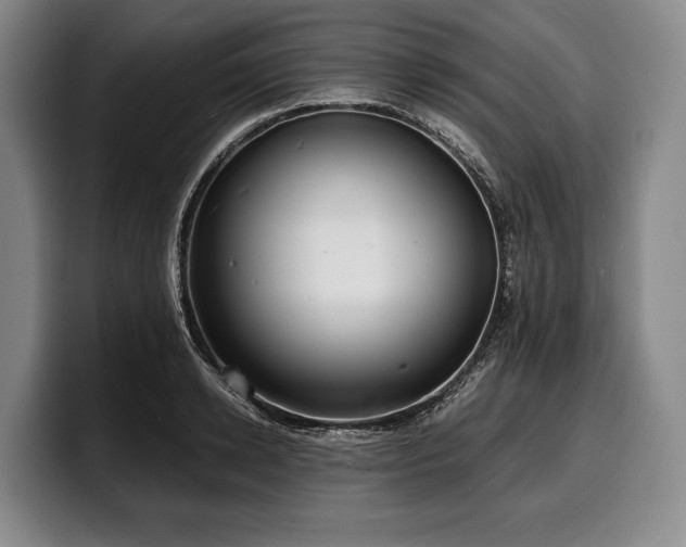 X0000100310942200806051453
