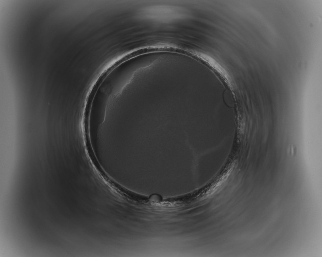 X0000100310943200806051453