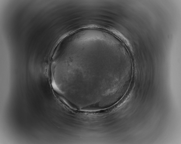 X0000100310945200806051453