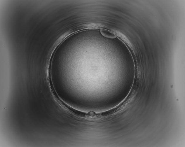 X0000100310946200806051453