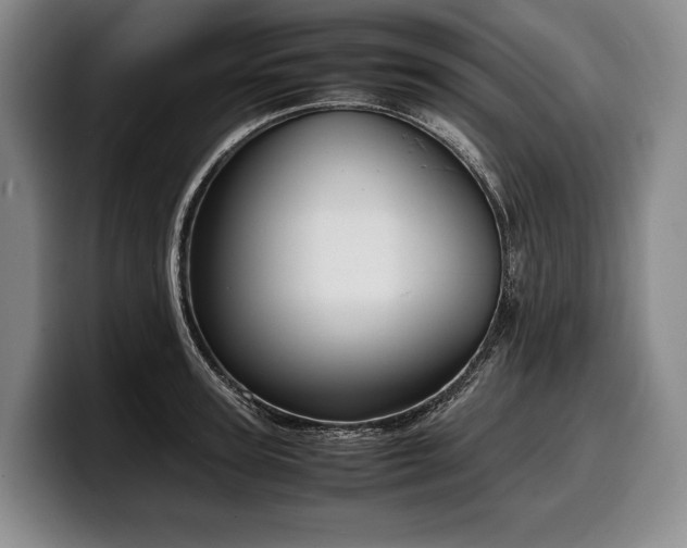 X0000100310947200806051453