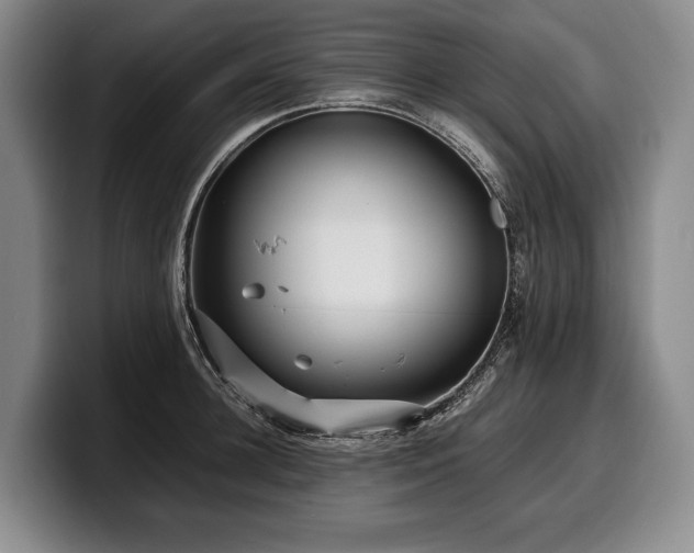 X0000100310948200806051453